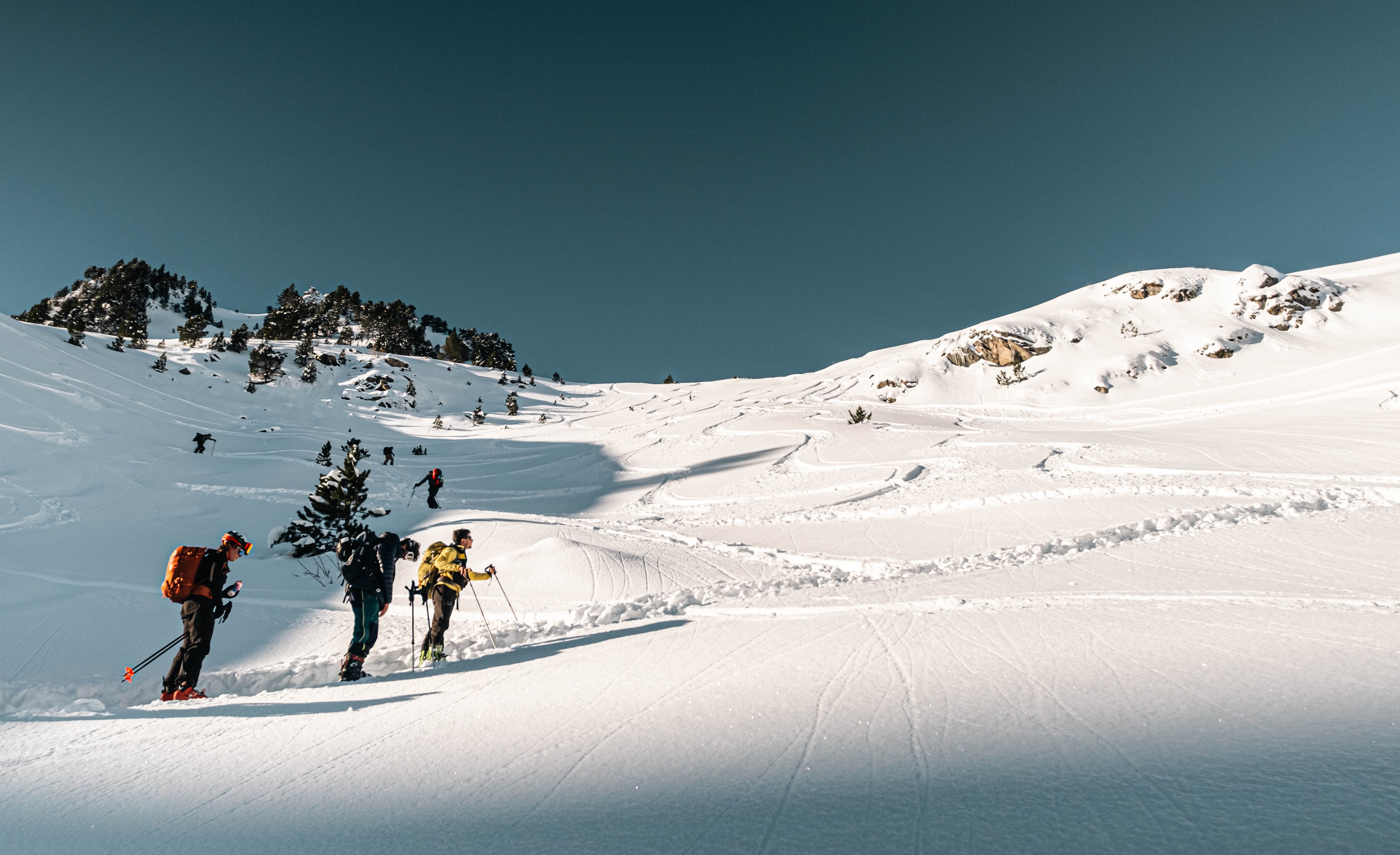 Sortie collective freeride